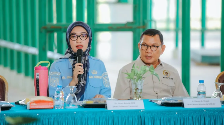 Karhutla TN Way Kambas Ancam Kawasan Konservasi, 6.984 Hektare Terdampak