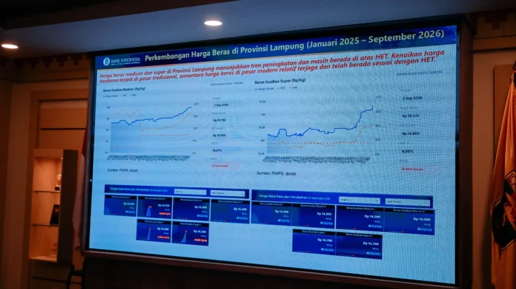 Pemprov Lampung Perkuat Pengendalian Inflasi Antisipasi Kenaikan Harga Beras