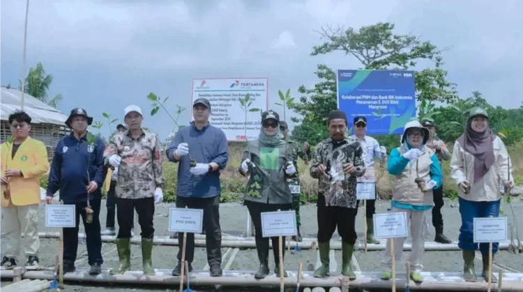 Pemkab Lampung Timur Perkuat Perlindungan Pesisir Lewat Demplot Mangrove