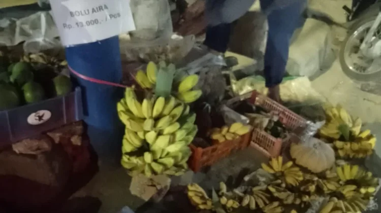 Peluang Emas Bisnis Pisang yang Selalu Laku, dan Menjanjikan Keuntungan