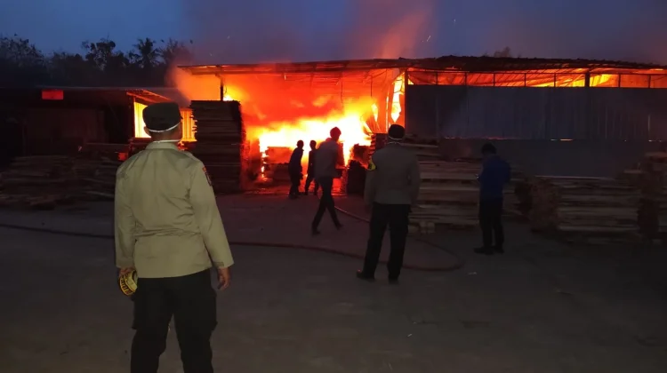 Pabrik Palet Kayu di Pringsewu Terbakar, Kerugian Rp1,2 Miliar
