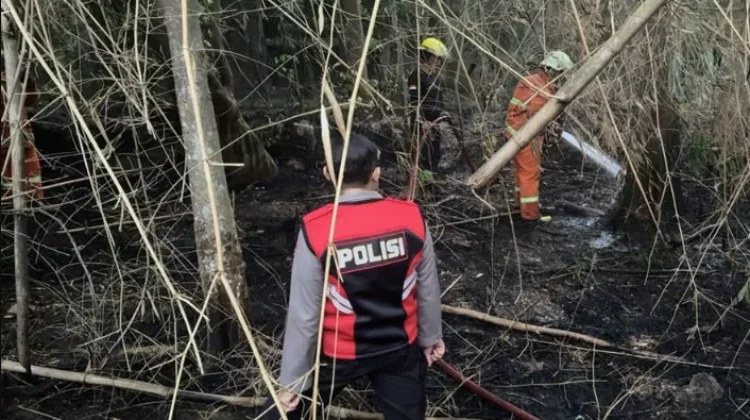 Diduga akibat Membakar Sampah, Lahan Pekarangan di Metro Timur Terbakar