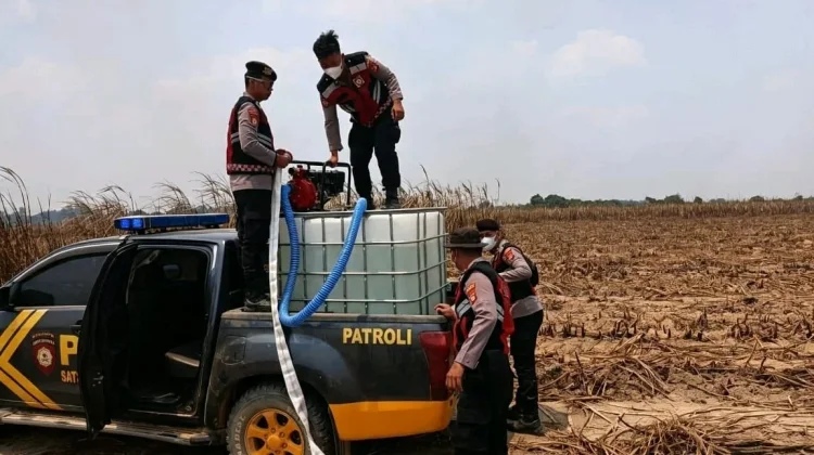 Polisi dan Perusahaan Padamkan Karhutla Dua Hektar