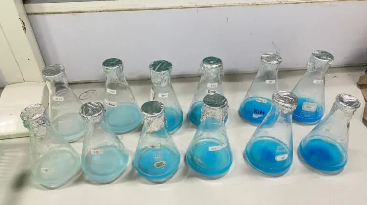 Unila Kembangkan Penyerap Pewarna Tekstil dari Tulang Ikan Sapu-Sapu