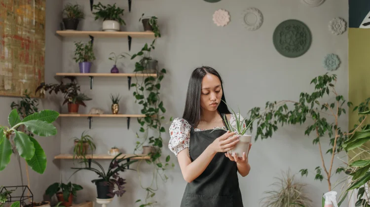 Fenomena Plant-Parenting Urban: Hobi Merawat Tanaman Hias Indoor