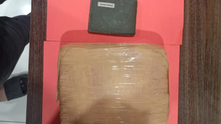 Polda Lampung Ungkap Peredaran Ganja, Tiga Pria Diamankan