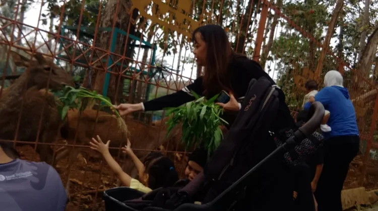 Taman Rusa UNILA: Ruang Edukasi, Menghibur, dan Mengajarkan Anak sejak Dini
