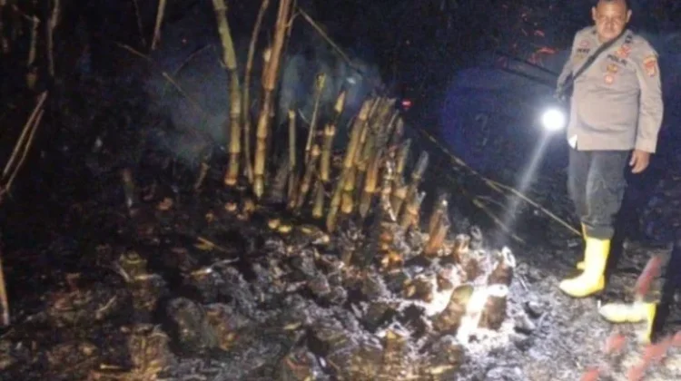 Kebakaran Lahan Kosong di Metro Utara Berhasil Dipadamkan, Warga Diimbau Waspada
