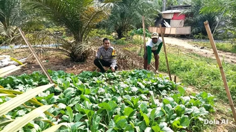 Program Ketahanan Pangan Polsek Tanjung Raya Sambang dan Binluh Warga