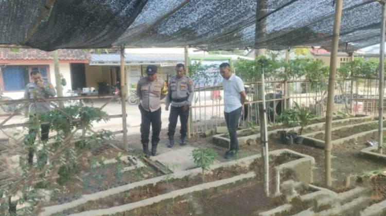 Polsek Lambu Kibang Laksanakan Pengecekan Lahan P2L Dukung Ketahanan Pangan