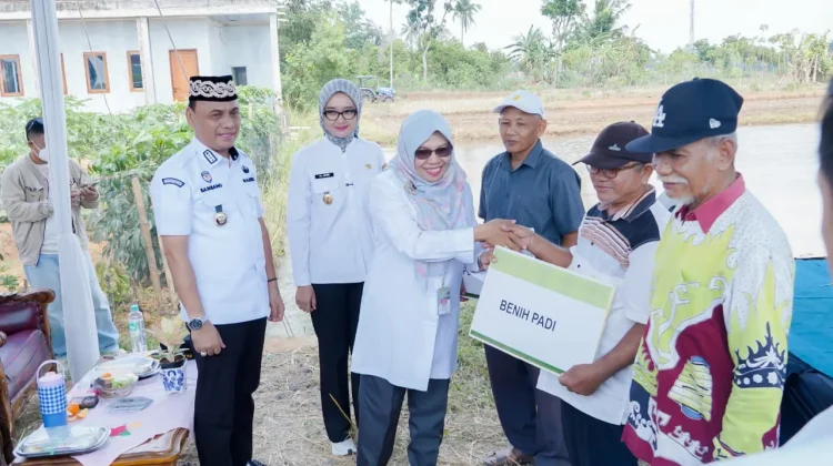 Jaga Stabilitas Ekosistem Pangan, Pemprov Lampung Salurkan Intervensi Program