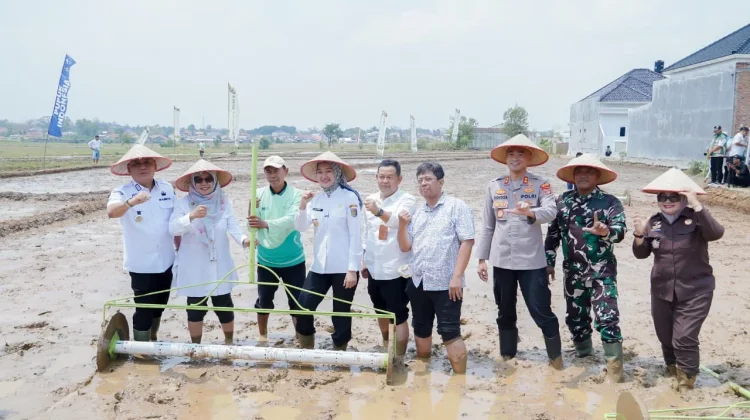 Kementan Dorong Keberlanjutan Swasembada Pangan
