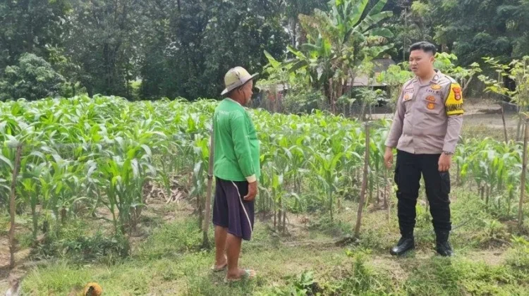 Dukung Ketahanan Pangan Desa Bhabinkamtibmas Polsek Tegineneng Sambangi Warga