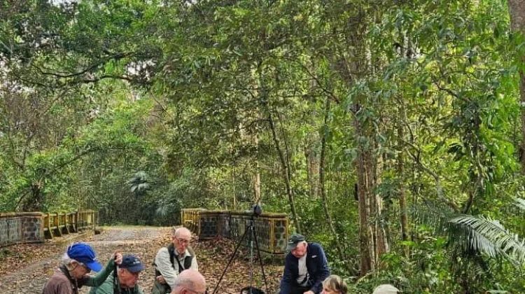 Tak Sekadar Gajah, Way Kambas Tawarkan Pesona Burung dan Wisata Alam