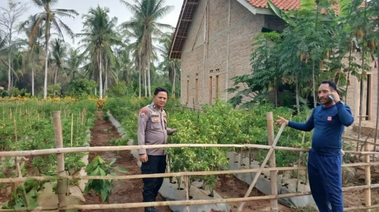 Polsek Kedondong Sambangi Lahan Warga di Pekondoh Gedung
