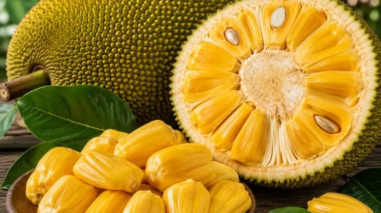 Nangka, Buah Tropis Raksasa yang Kaya Manfaat