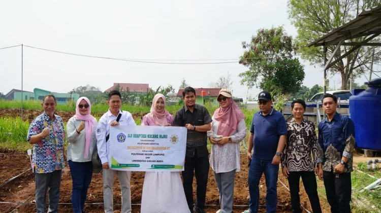 Polinela dan UGM Perkuat Riset Varietas Kacang Hijau