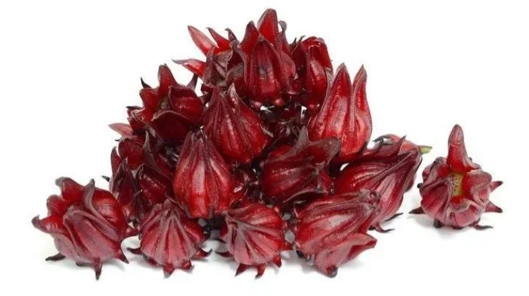 Cara Membuat Teh Rosela, Minuman Segar Kaya Antioksidan