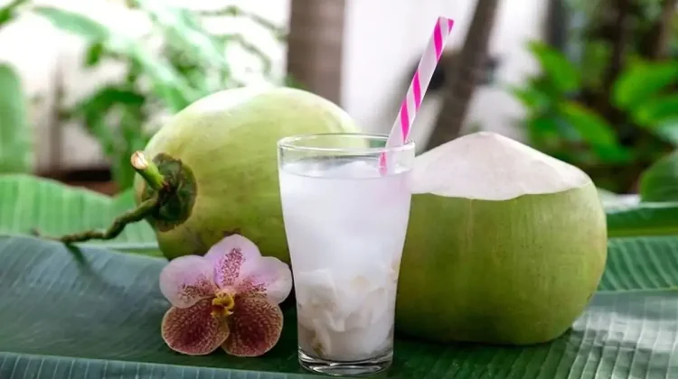 Manfaat Air Kelapa, untuk Hidrasi Alami Optimal