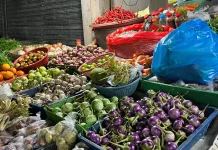 Tradisi Makan Lalapan Perkuat Cita Rasa Khas Lampung