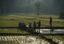 Lampung Jadi Potret Keberagaman Budaya Nusantara yang Harmonis