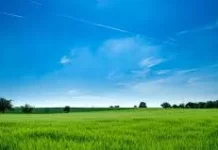 Kenapa Langit Berwarna Biru? Penjelasan Sederhana yang Mudah Dipahami