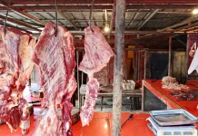 Harga Daging Sapi Naik, Omset Pedagang Bambu Kuning Anjlok