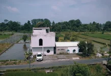 Tinggalkan Karir di Jakarta Demi Bangun Kafe di tengah Sawah