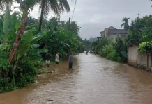 Jangkau Daerah Terpencil, BPBD Lampung Gandeng RAPI dan Pasang EWS