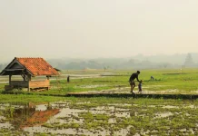Pemprov Lampung Perketat Pengawasan Input Indeks Desa