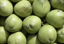 Apa yang Terjadi jika Minum Air Kelapa Setiap Hari?
