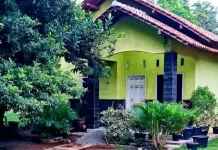 Manfaat Tanaman Hias di Halaman Rumah untuk Keindahan dan Kesehatan Lingkungan
