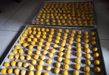 Bisnis Kue Kering Marak jelang Lebaran, Ibu Novitasari Kebanjiran Pesanan