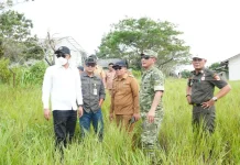 Pemkab Tubaba dan Kodim 0412 Tinjau Lahan Calon Mako Batalyon TNI AD di Pagar Dewa