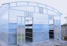 Pringsewu Siapkan Sentra Produksi untuk Kembangkan Industri Mocaf