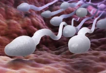 Setop 3 Kebiasaan yang Bikin Kualitas Sperma Mengendur
