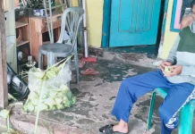 Perajin Kulit Ketupat Banjir Pesanan jelang Idul Fitri