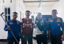 Damkar Pringsewu Evakuasi Tokek di Rumah Warga Gadingrejo