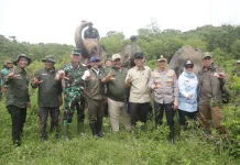 Pagar 138 Km Way Kambas Jadi Penggerak Ekonomi Baru 27 Desa Penyangga