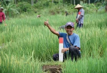 Mudik Lebaran? Jaga Batas Tanah untuk Cegah Konflik Antar Tetangga