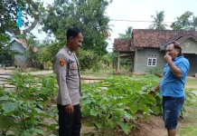 Bhabinkamtibmas Beri Arahan Penanaman Terong