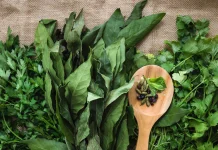 5 Tanaman Herbal yang Ampuh Tingkatkan Imun Tubuh