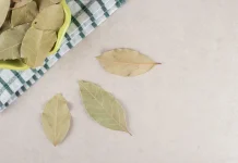 Bukan Sekadar Bumbu, Ini Manfaat Daun Salam untuk Menjaga Kadar Gula Darah