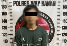 Diduga Edarkan Sabu 6,52 Gram, Seorang Pria Asal Way Kanan Dibekuk Polisi