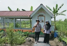 Dari Semak Belukar, Pasangan Sleman Wujudkan Kebun Pangan Mandiri