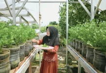Mantan Tukang Parkir Sukses dengan Petani Cerdas Air
