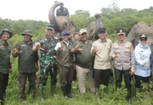 Penguatan Desa Penyangga Di Wilayah Konservasi TNWK