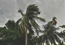 BMKG Ingatkan Potensi Angin Kencang di Musim Pancaroba