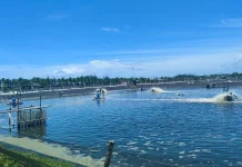 PLN UID Lampung Targetkan Penjualan Listrik Tembus 7.296 GWh di 2029