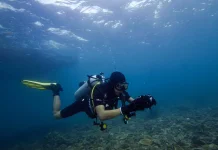 Ponton Dinilai Efektif Kurangi Kerusakan Terumbu Karang